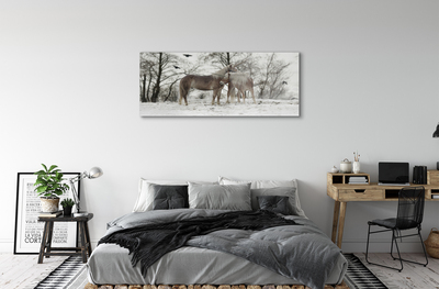 Foto op plexiglas Winter bos eenhoorn