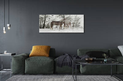 Foto op plexiglas Winter bos eenhoorn