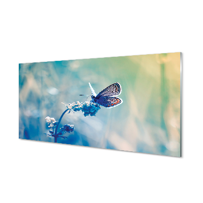 Foto op plexiglas Kleurrijke vlinder