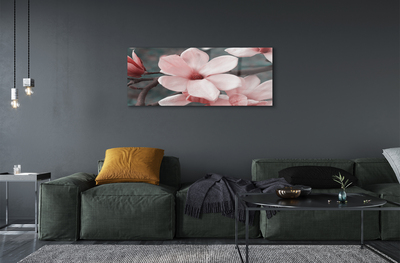Plexiglas foto Roze bloemen