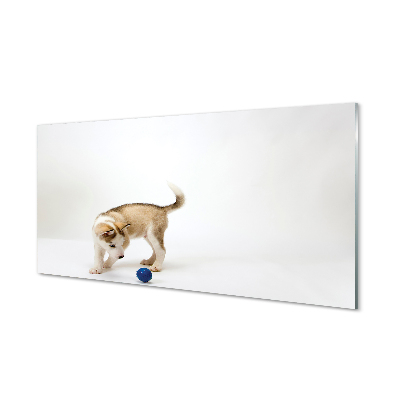 Plexiglas foto Een hond spelen