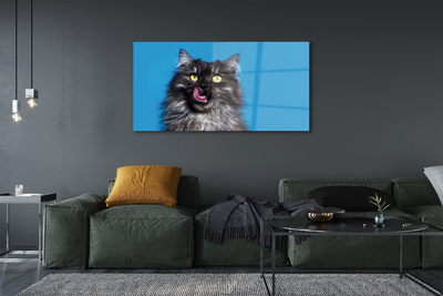 Foto op plexiglas Delige kat