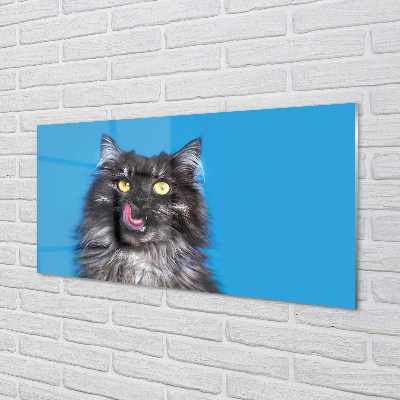 Foto op plexiglas Delige kat