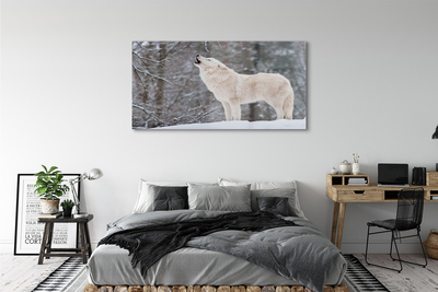 Foto op plexiglas Wolf forest winter
