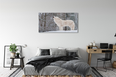 Foto op plexiglas Wolf forest winter