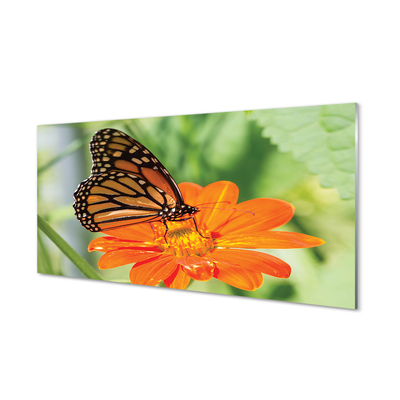 Plexiglas foto Kleurrijke vlinderbloem