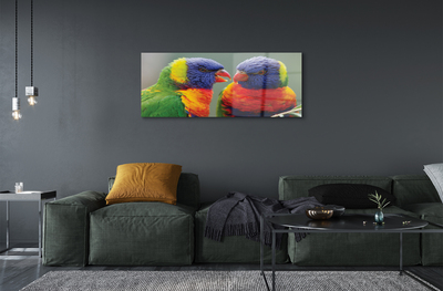 Foto op plexiglas Kleurrijke papegaaien