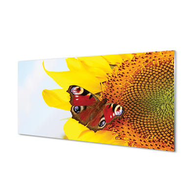 Plexiglas foto Zonnebloemvlinder