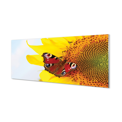 Plexiglas foto Zonnebloemvlinder