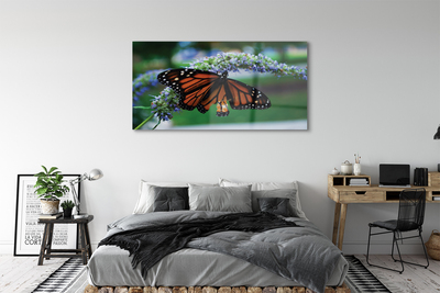 Plexiglas foto Butterfly op een bloem