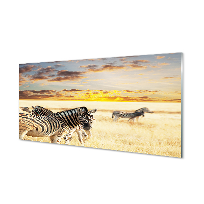 Plexiglas foto Zebra veldzonsondergang