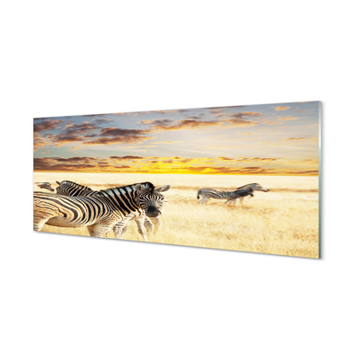 Plexiglas foto Zebra veldzonsondergang