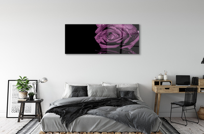 Plexiglas schilderij Violet roos