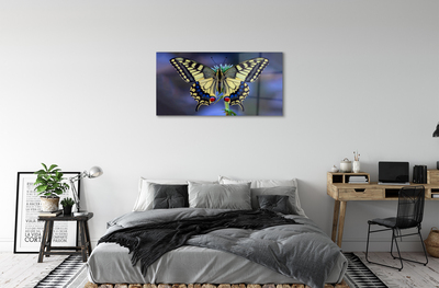 Plexiglas foto Butterfly op een bloem