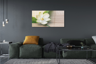 Plexiglas foto Witte magnolia