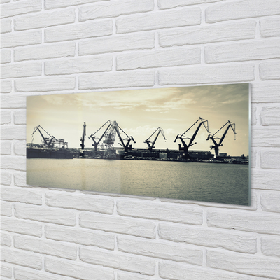 Foto op plexiglas Gdańsk shipyard cranes river