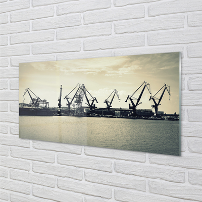 Foto op plexiglas Gdańsk shipyard cranes river