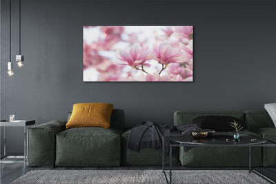 Plexiglas foto Magnolia bomen