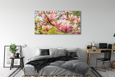 Plexiglas foto Roze magnolia