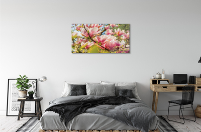 Plexiglas foto Roze magnolia
