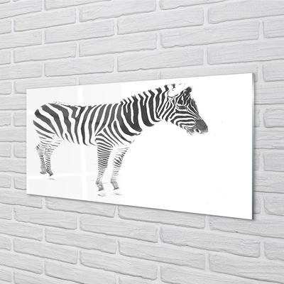 Plexiglas foto Geschilderde zebra