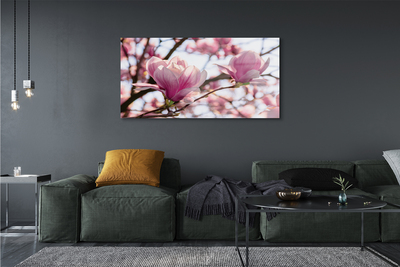 Plexiglas foto Magnolia bomen