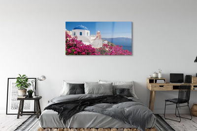 Foto op plexiglas Griekenland bloemen zee gebouwen