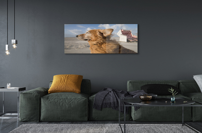 Plexiglas foto Bruin hond strand