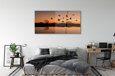 Foto op plexiglas Vliegende vogels zonsondergang
