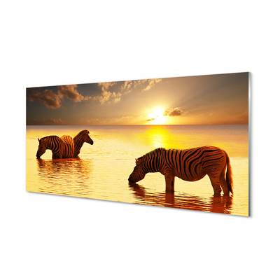 Plexiglas foto Zebra water sunset