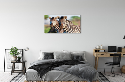 Plexiglas foto Zebra