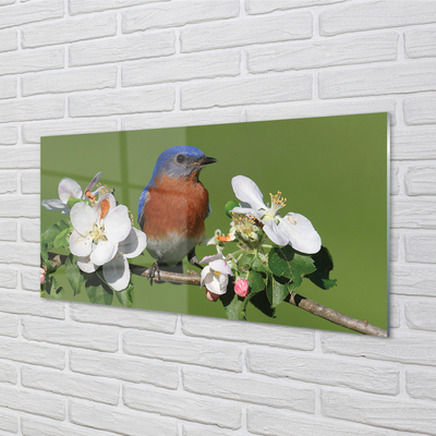 Foto op plexiglas Kleurrijke papegaai bloemen