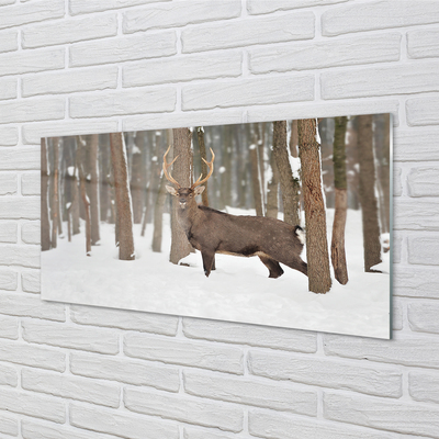 Foto op plexiglas Herten winter forest