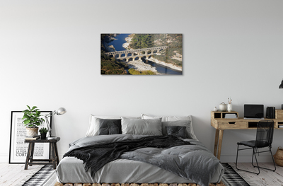 Foto op plexiglas Rome aquaduct-rivier