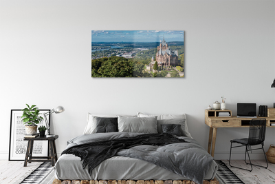 Foto op plexiglas Duitsland panorama city castle