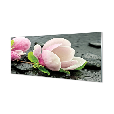 Plexiglas foto Magnolia stenen