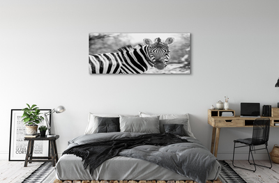 Plexiglas foto Retro zebra