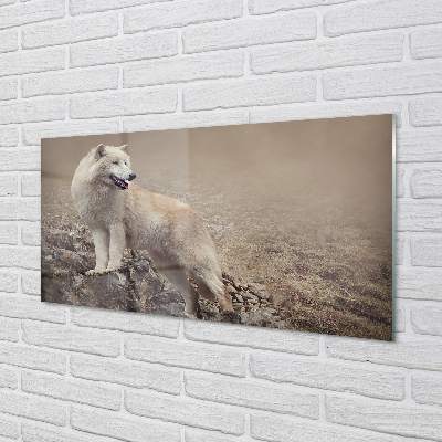 Foto op plexiglas Wolf