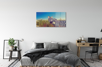 Plexiglas foto Zebra bloemen