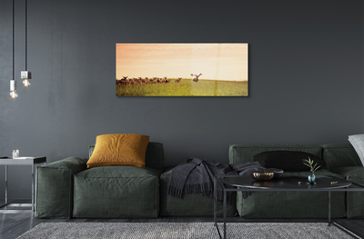 Foto op plexiglas Een kudde van hertenveld zonsopgang