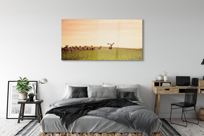 Foto op plexiglas Een kudde van hertenveld zonsopgang