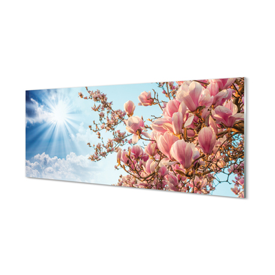 Plexiglas foto Magnolia sky sun