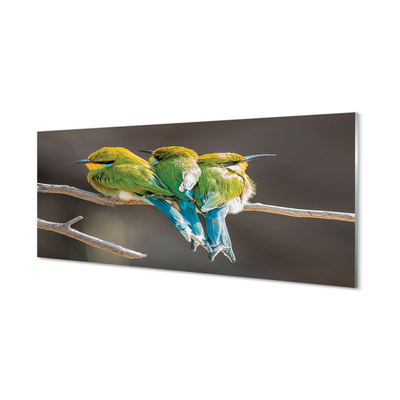 Foto op plexiglas Vogels op de tak