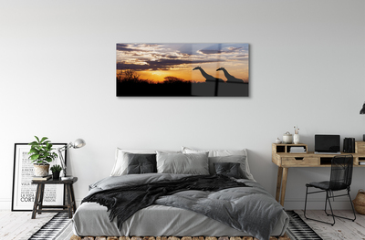 Foto in plexiglas Giraffe-bomenwolken