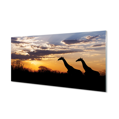 Foto in plexiglas Giraffe-bomenwolken