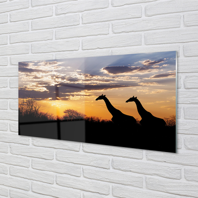 Foto in plexiglas Giraffe-bomenwolken