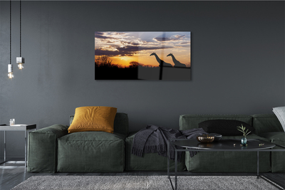 Foto in plexiglas Giraffe-bomenwolken