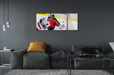 Print op plexiglas Hockeypoort