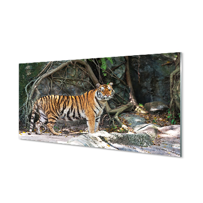 Plexiglas foto Jungle tijger