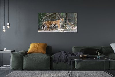 Plexiglas foto Jungle tijger